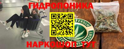 индика Ирбит