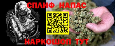 индика Ирбит