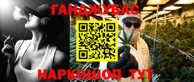 индика Ирбит